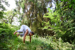 In Lak'ech, Buen Vivir! © 2026 OMG Danilo! In Lak'ech, Buen Vivir! © 2026 https://buen-vivir.de/omg-danilo/