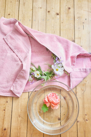 In Lak'ech, Buen Vivir! © 2025 Anna & Martin In Lak'ech, Buen Vivir! © 2025 https://buen-vivir.de/anna-und-martin-heiraten-schamanisch/