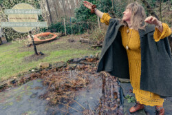 In Lak'ech, Buen Vivir! © 2026 OMG Sabine! In Lak'ech, Buen Vivir! © 2026 https://buen-vivir.de/omg-sabine/