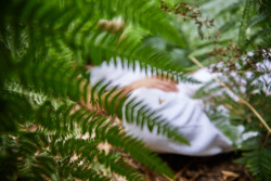 In Lak'ech, Buen Vivir! © 2025 OMG Danilo! In Lak'ech, Buen Vivir! © 2025 https://buen-vivir.de/omg-danilo/