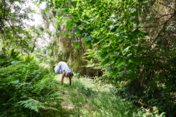 In Lak'ech, Buen Vivir! © 2025 OMG Danilo! In Lak'ech, Buen Vivir! © 2025 https://buen-vivir.de/omg-danilo/