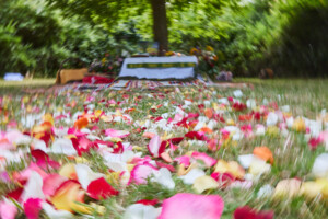 In Lak'ech, Buen Vivir! © 2025 Anna & Martin In Lak'ech, Buen Vivir! © 2025 https://buen-vivir.de/anna-und-martin-heiraten-schamanisch/