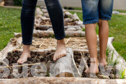 In Lak'ech, Buen Vivir! © 2025 BSB VorschauGalerie In Lak'ech, Buen Vivir! © 2025 https://buen-vivir.de/bsb-vorschaugalerie/