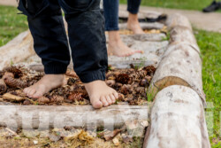 In Lak'ech, Buen Vivir! © 2025 BSB VorschauGalerie In Lak'ech, Buen Vivir! © 2025 https://buen-vivir.de/bsb-vorschaugalerie/