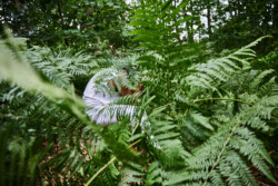 In Lak'ech, Buen Vivir! © 2025 OMG Danilo! In Lak'ech, Buen Vivir! © 2025 https://buen-vivir.de/omg-danilo/