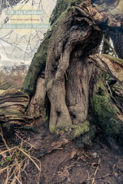 In Lak'ech, Buen Vivir! © 2026 OMG Sabine! In Lak'ech, Buen Vivir! © 2026 https://buen-vivir.de/omg-sabine/