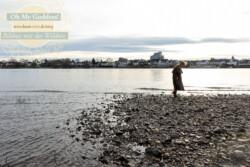 In Lak'ech, Buen Vivir! © 2026 OMG Sabine! In Lak'ech, Buen Vivir! © 2026 https://buen-vivir.de/omg-sabine/