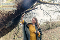 In Lak'ech, Buen Vivir! © 2026 OMG Sabine! In Lak'ech, Buen Vivir! © 2026 https://buen-vivir.de/omg-sabine/