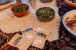 In Lak'ech, Buen Vivir! © 2026 Vicky & Immanuel In Lak'ech, Buen Vivir! © 2026 https://buen-vivir.de/vicky-immanuel/