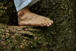 In Lak'ech, Buen Vivir! © 2025 OMG Danilo! In Lak'ech, Buen Vivir! © 2025 https://buen-vivir.de/omg-danilo/