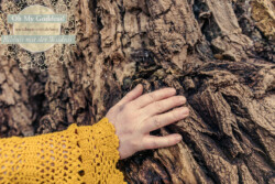 In Lak'ech, Buen Vivir! © 2026 OMG Sabine! In Lak'ech, Buen Vivir! © 2026 https://buen-vivir.de/omg-sabine/