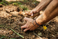 In Lak'ech, Buen Vivir! © 2025 OMG Danilo! In Lak'ech, Buen Vivir! © 2025 https://buen-vivir.de/omg-danilo/