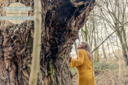 In Lak'ech, Buen Vivir! © 2026 OMG Sabine! In Lak'ech, Buen Vivir! © 2026 https://buen-vivir.de/omg-sabine/