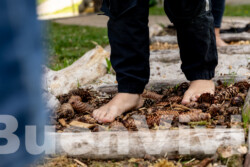 In Lak'ech, Buen Vivir! © 2025 BSB VorschauGalerie In Lak'ech, Buen Vivir! © 2025 https://buen-vivir.de/bsb-vorschaugalerie/