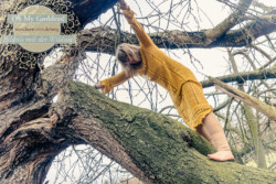 In Lak'ech, Buen Vivir! © 2026 OMG Sabine! In Lak'ech, Buen Vivir! © 2026 https://buen-vivir.de/omg-sabine/