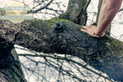 In Lak'ech, Buen Vivir! © 2026 OMG Sabine! In Lak'ech, Buen Vivir! © 2026 https://buen-vivir.de/omg-sabine/