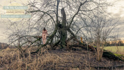 In Lak'ech, Buen Vivir! © 2026 OMG Sabine! In Lak'ech, Buen Vivir! © 2026 https://buen-vivir.de/omg-sabine/