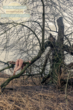 In Lak'ech, Buen Vivir! © 2026 OMG Sabine! In Lak'ech, Buen Vivir! © 2026 https://buen-vivir.de/omg-sabine/